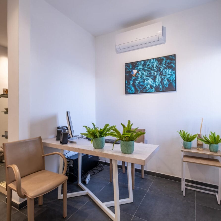 Ένας μοντέρνος χώρος γραφείου με γραφείο, υπολογιστή, δύο γλάστρες με φυτά, μια καφέ καρέκλα, ένα βοηθητικό τραπέζι με περισσότερα φυτά και ένα επιτοίχιο κλιματιστικό.